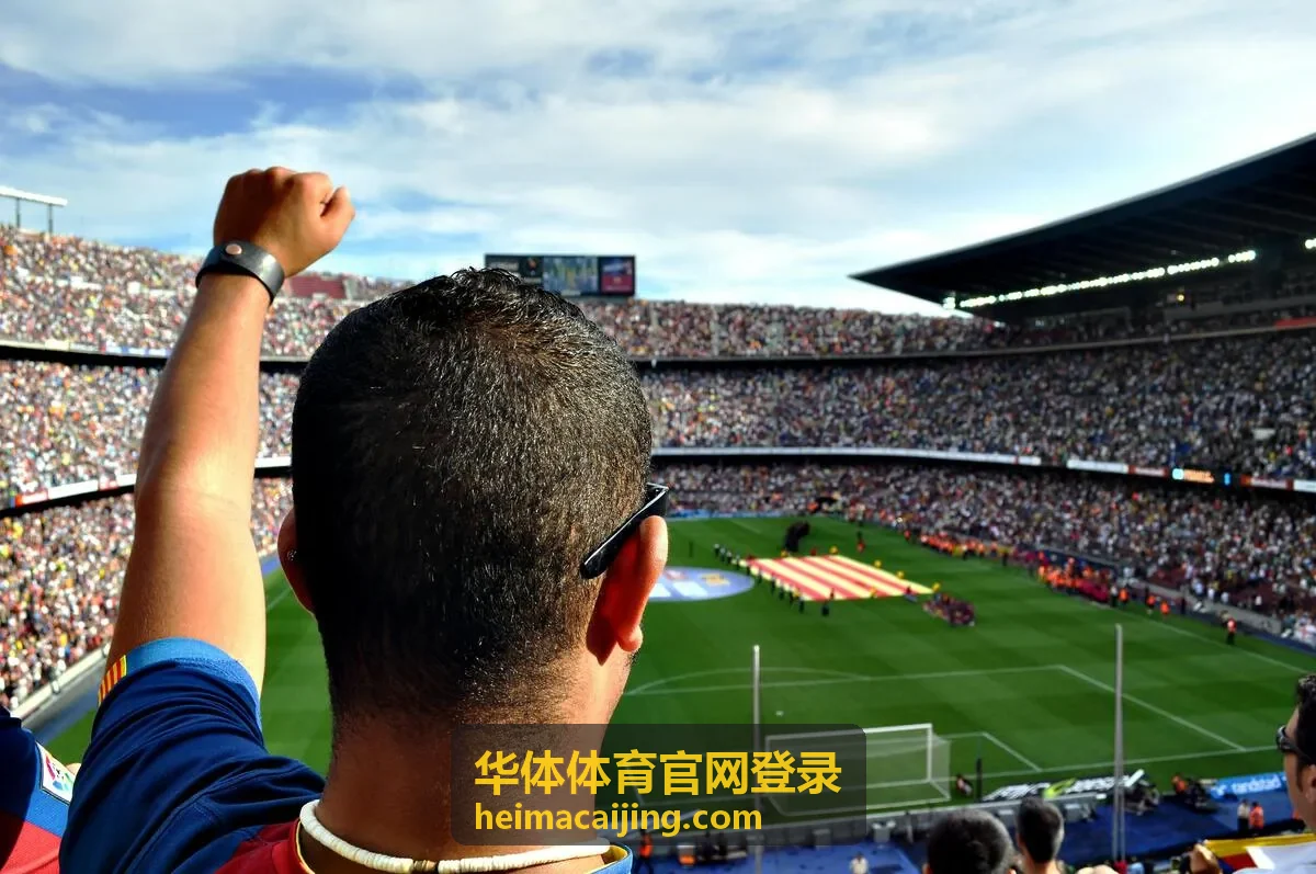 登录异常排查顺序说明配图